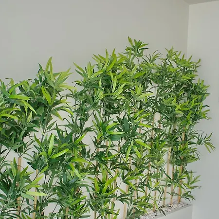 Topcity & Лагуш